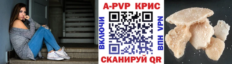 A PVP СК  Короча 