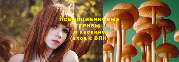 Альфа ПВП Баксан