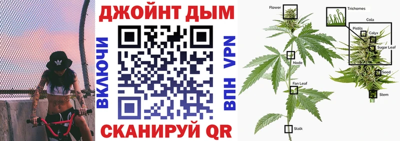 хочу   Короча  Каннабис OG Kush 